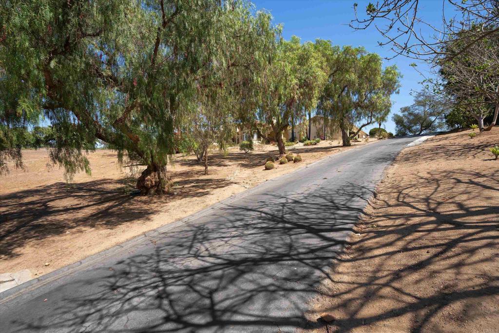 Property photo 45
