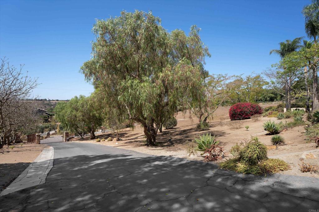 Property photo 46