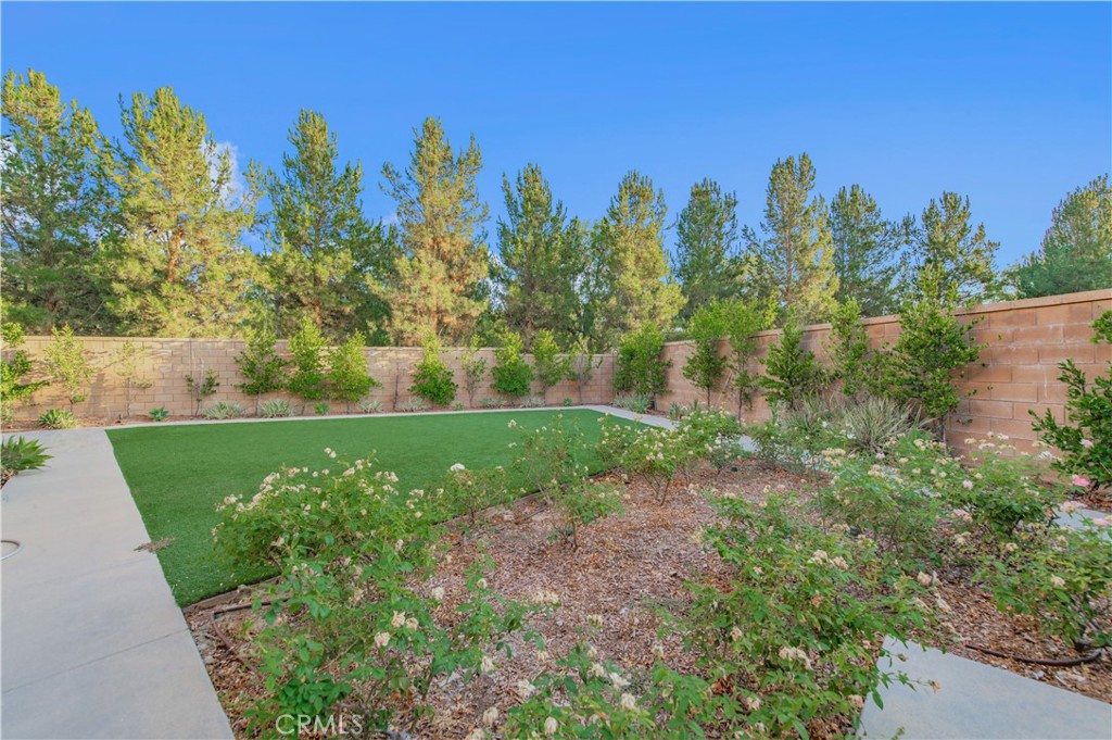 Property photo 49