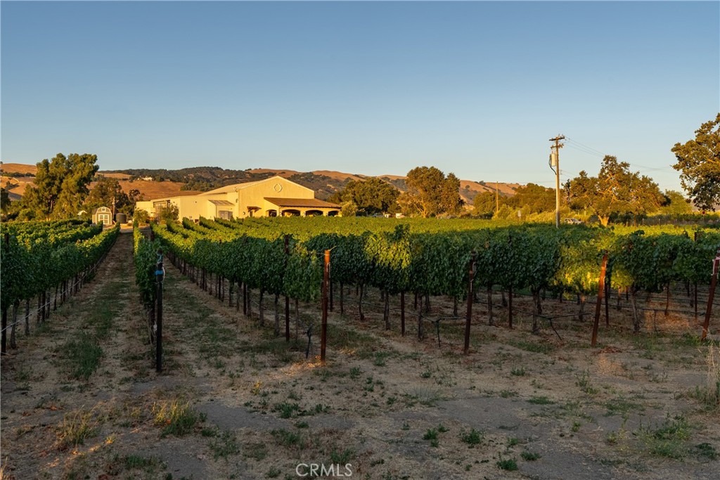 Property photo 43