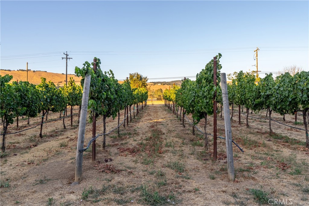 Property photo 46