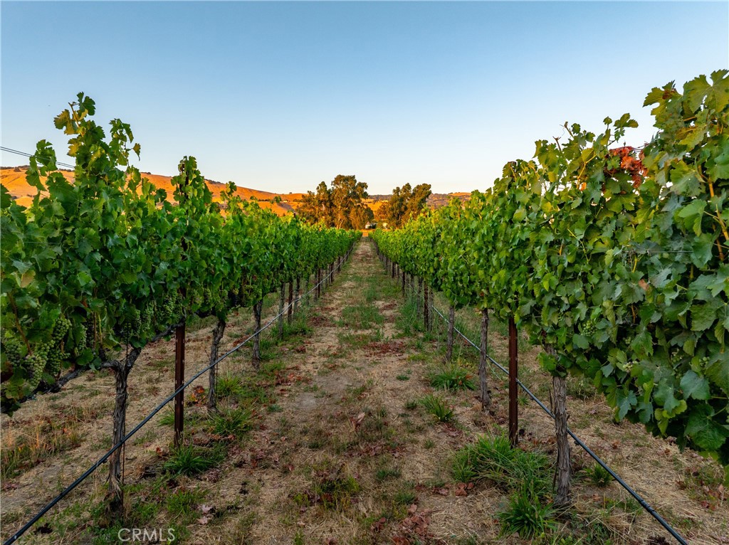 Property photo 47