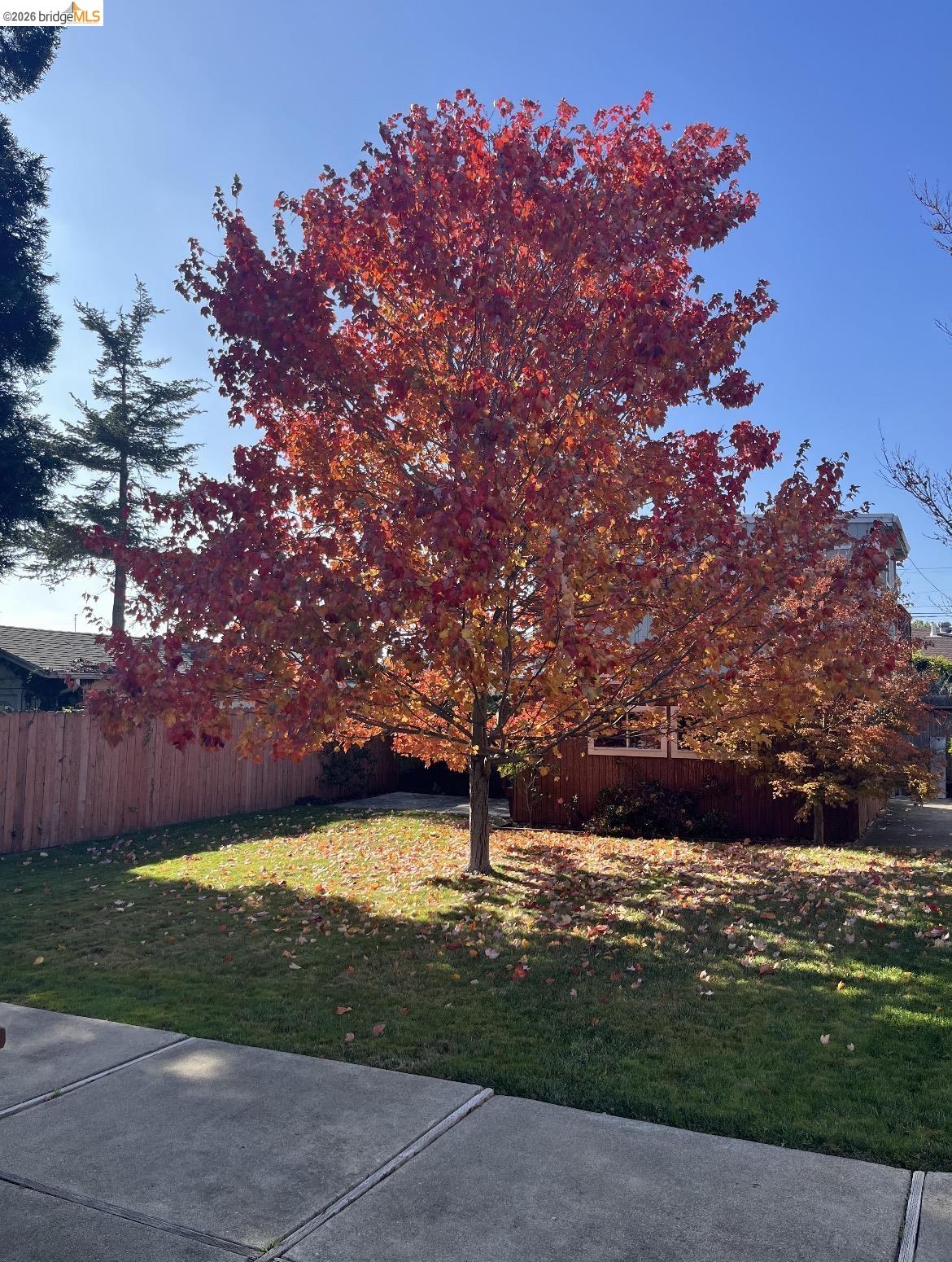 Property photo 24