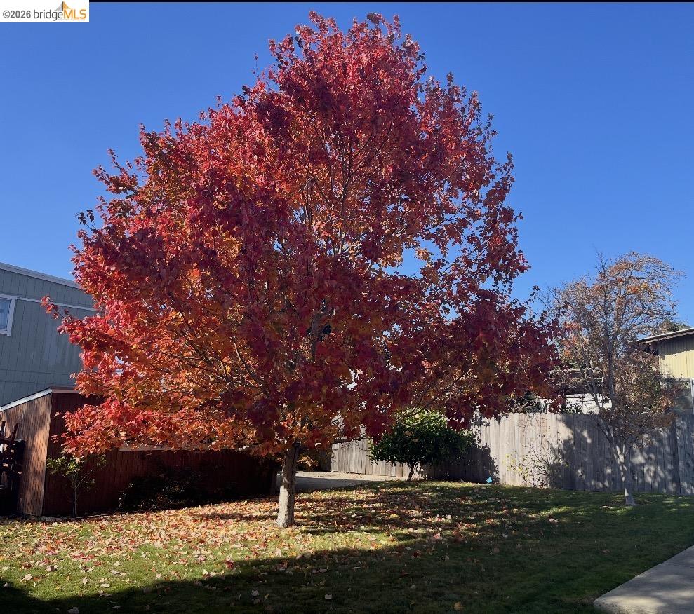 Property photo 25