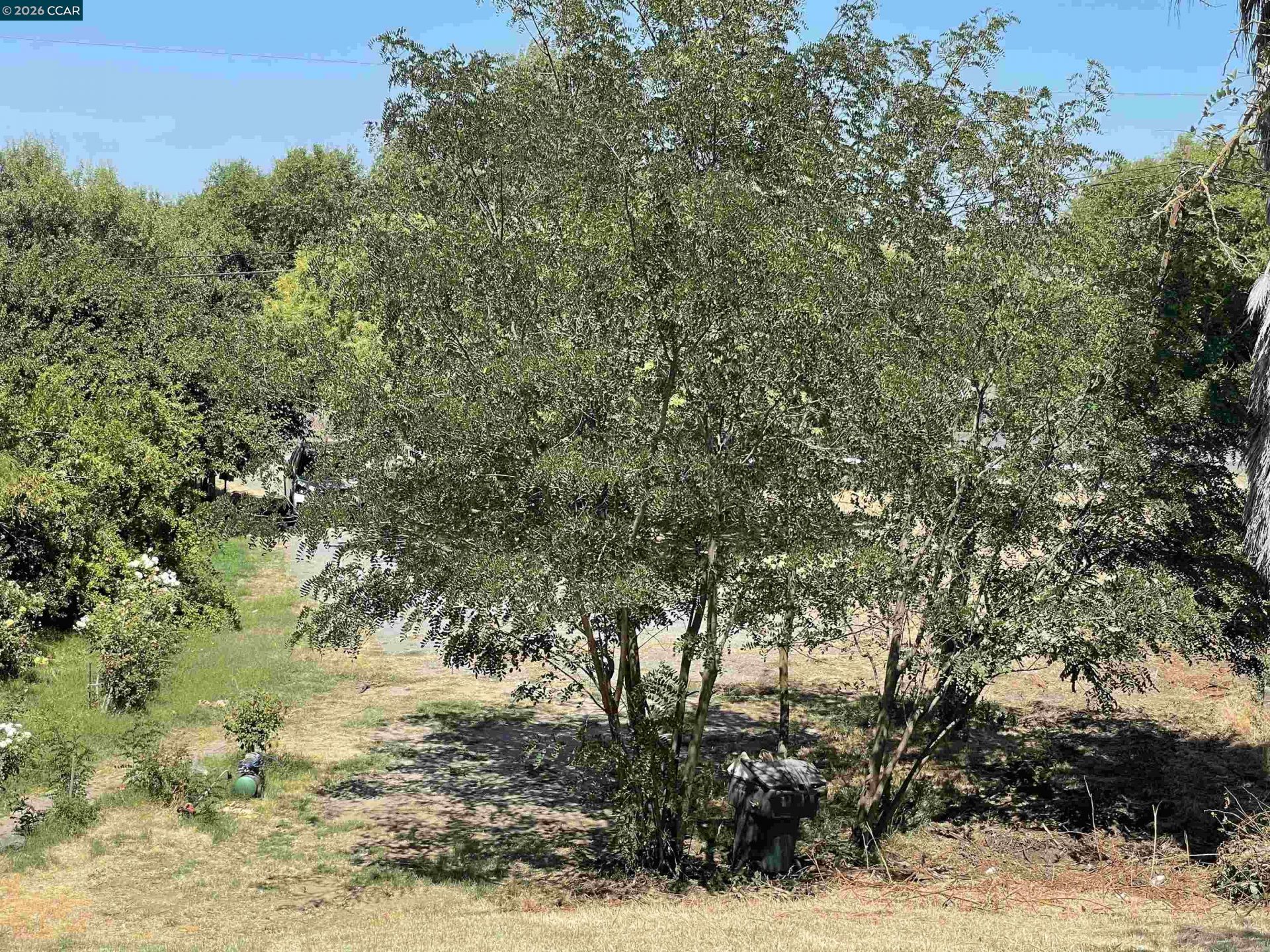 Property photo 22
