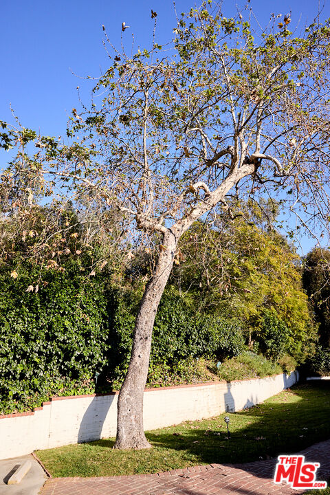 Property photo 43