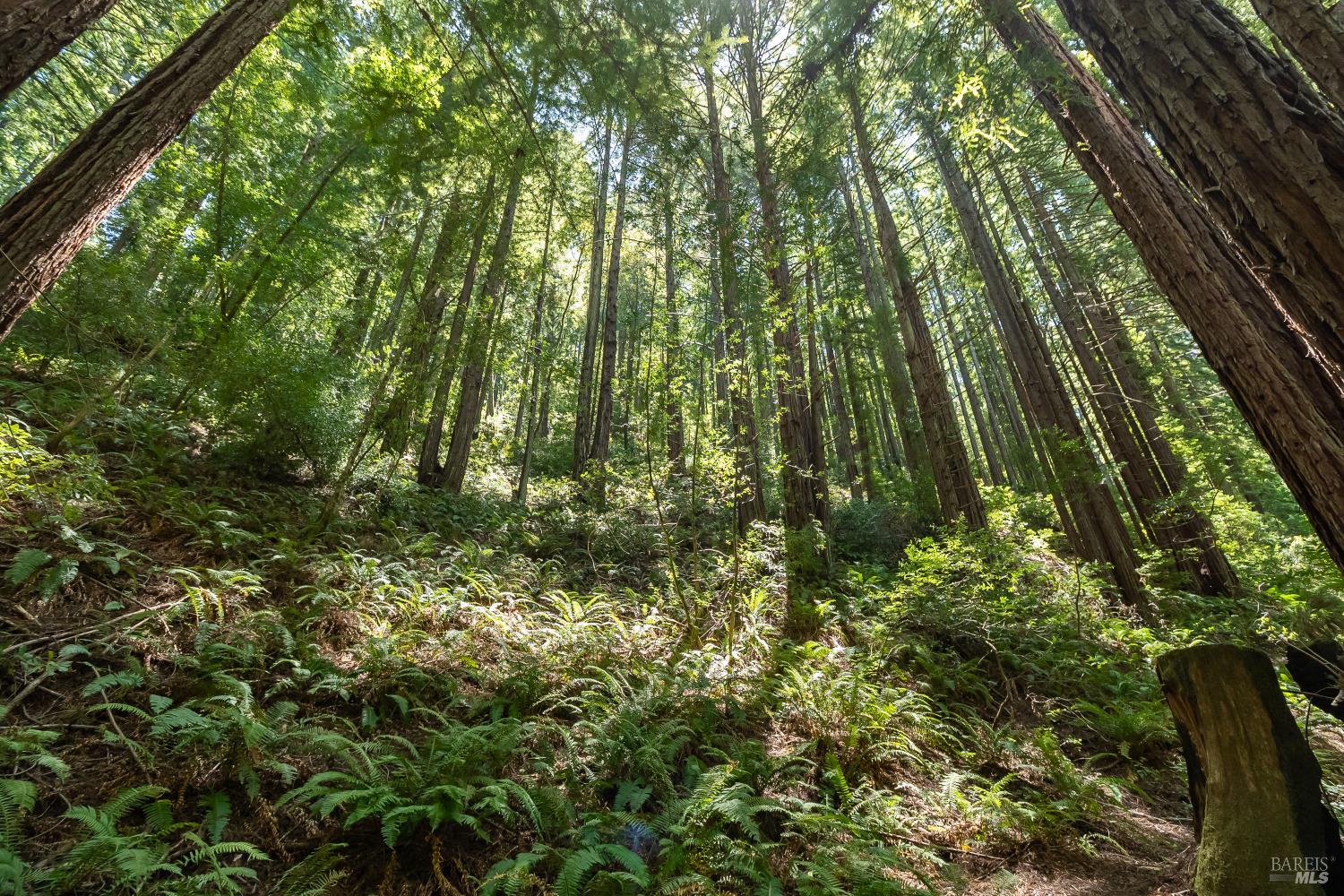 Property photo 33