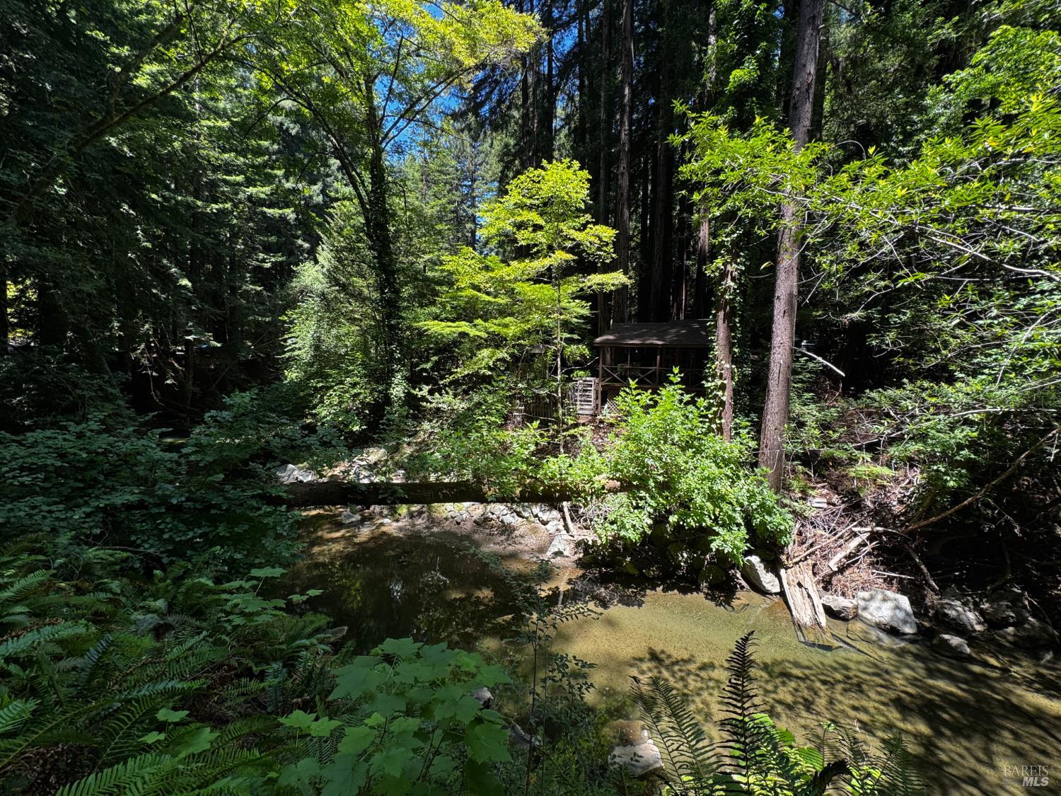 Property photo 47