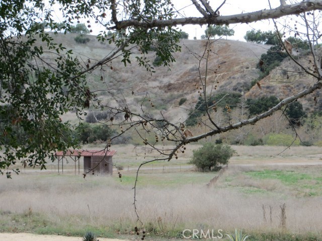 Property photo 41