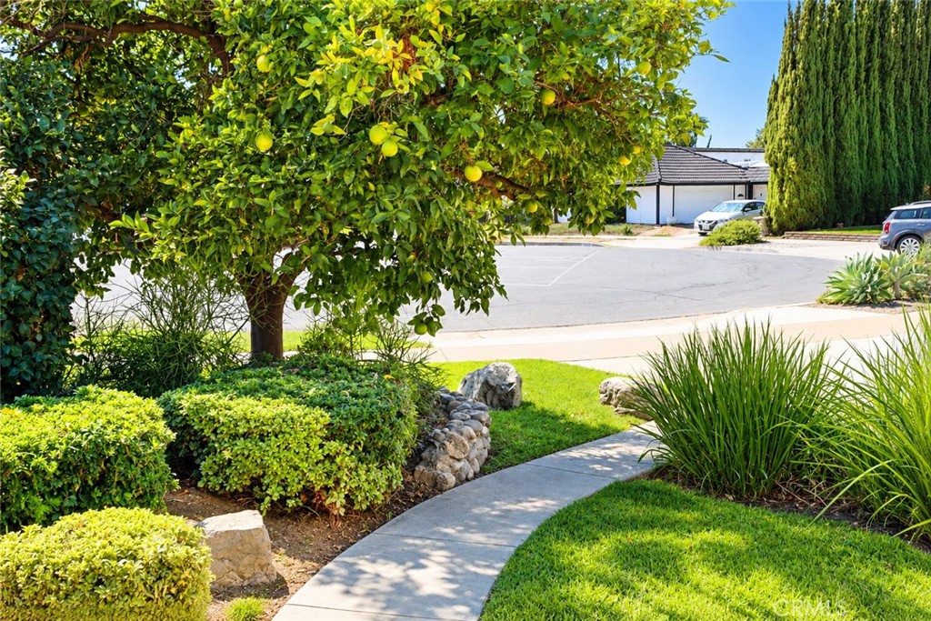 Property photo 32