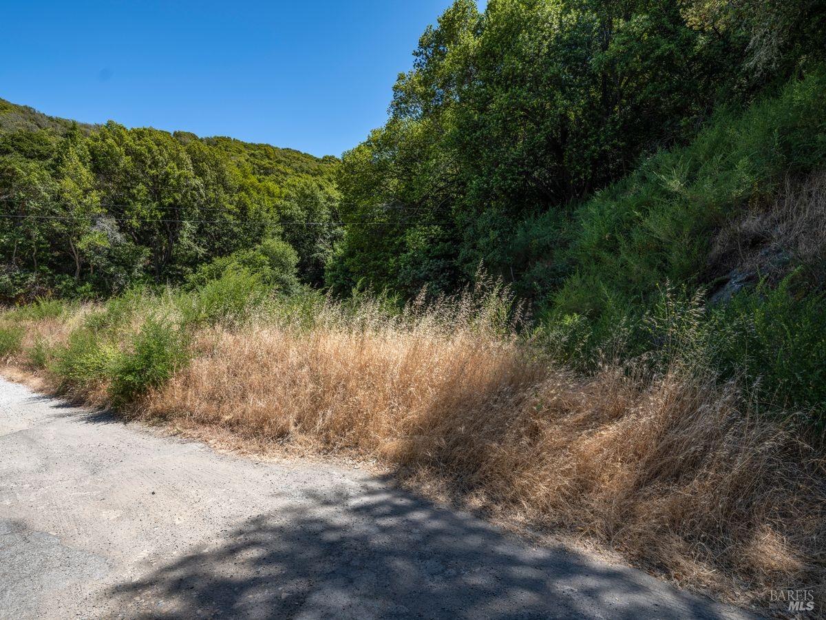 Property photo 41