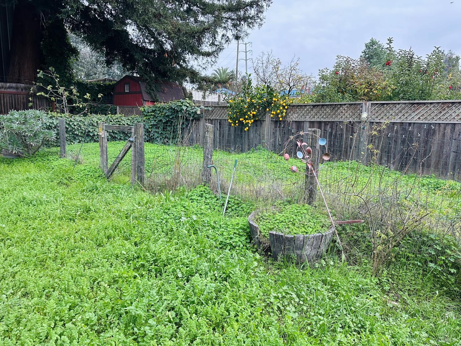 Property photo 34