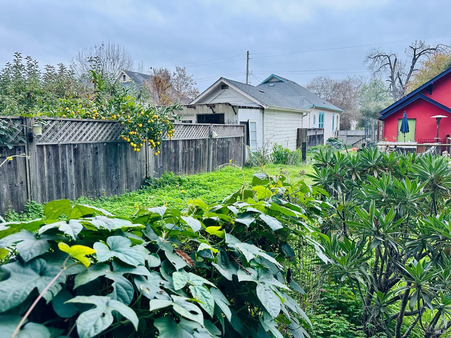 Property photo 38