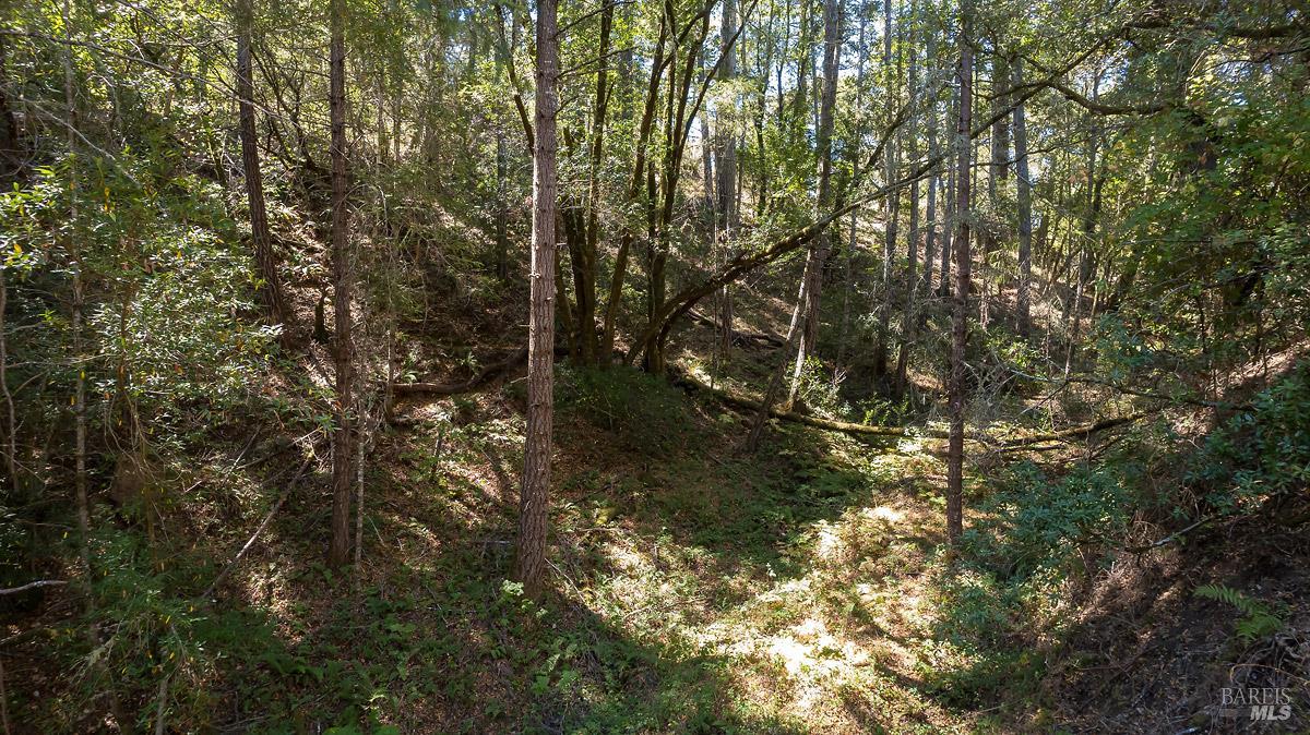 Property photo 22