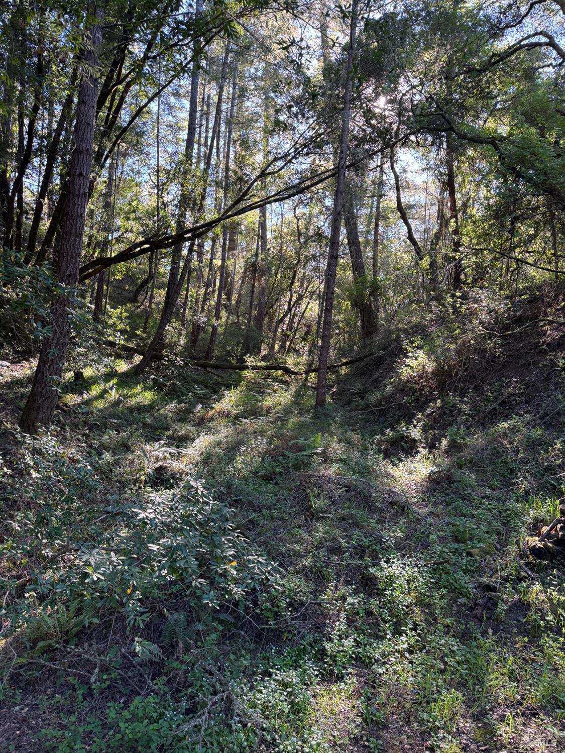 Property photo 23