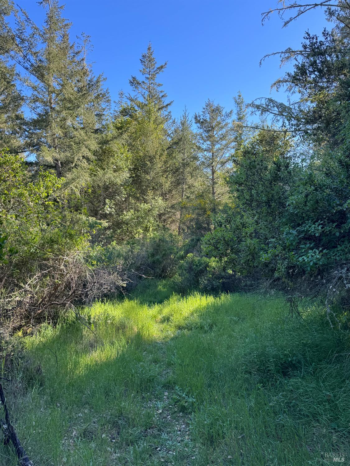 Property photo 27