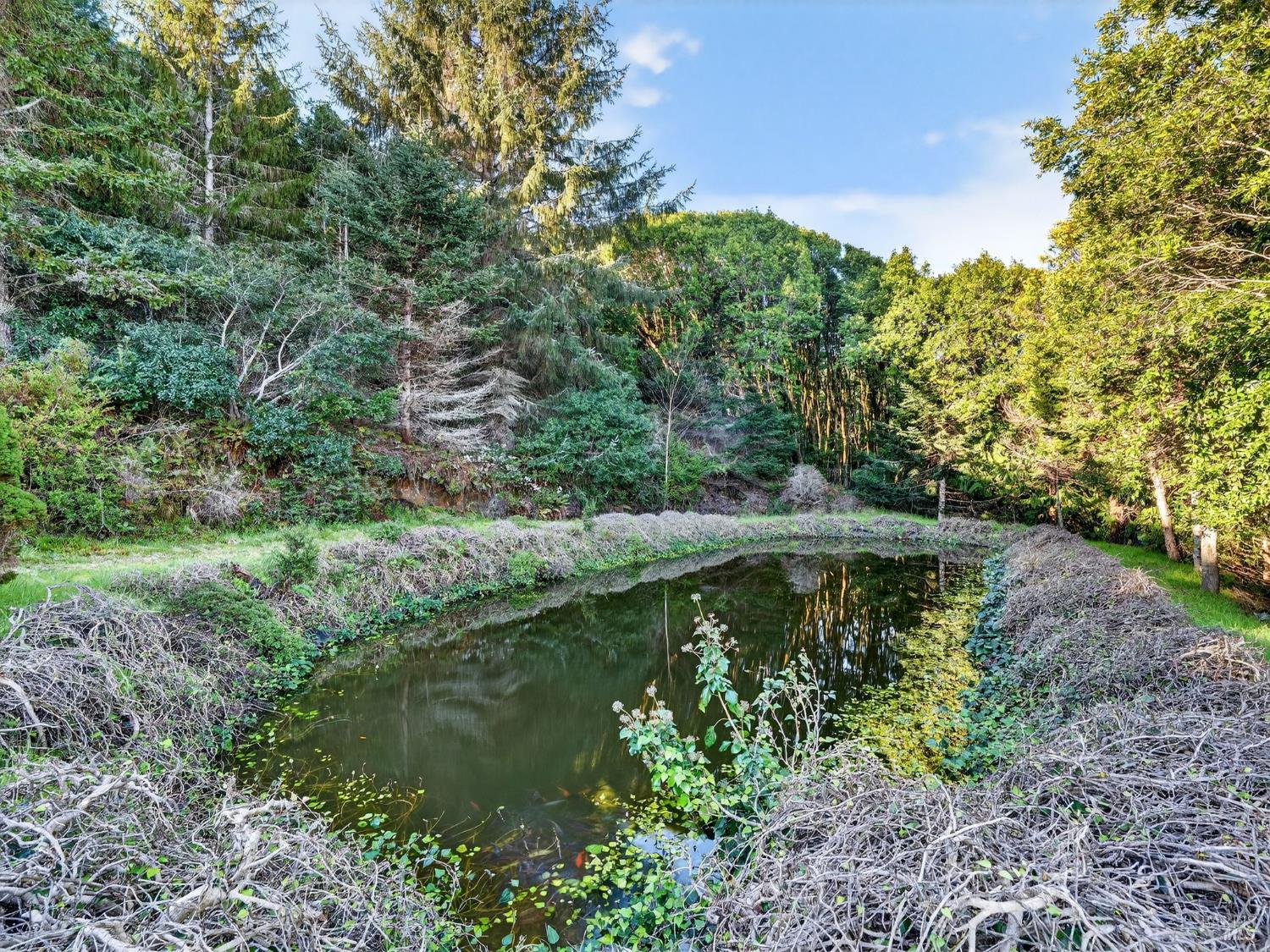 Property photo 15