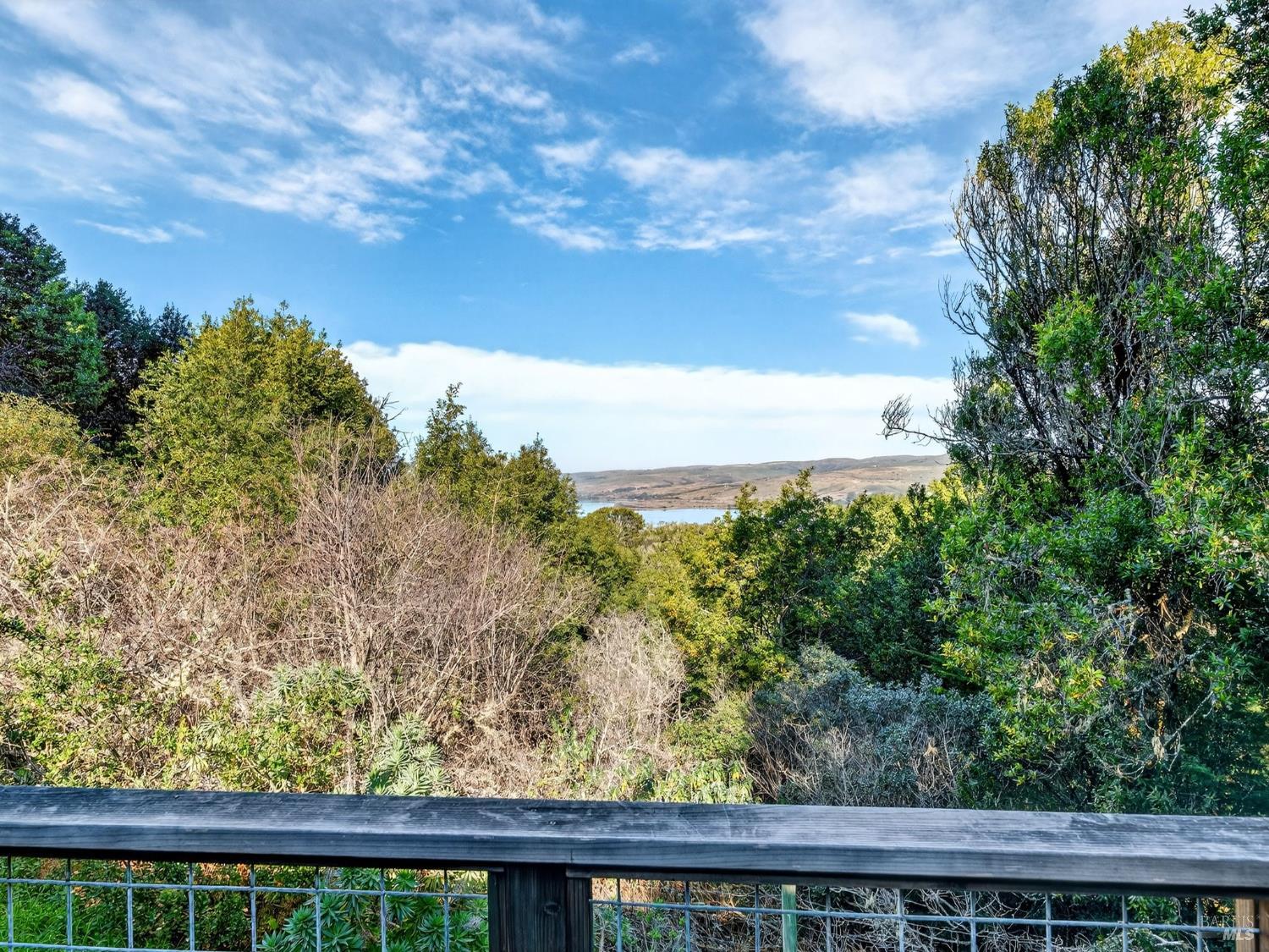 Property photo 44