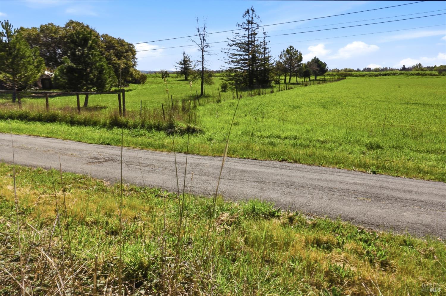 Property photo 40