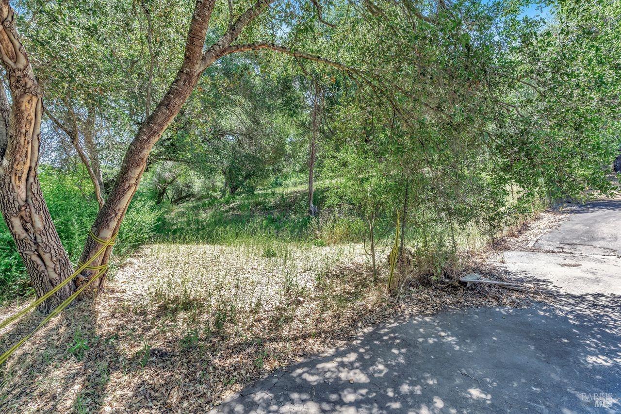Property photo 35