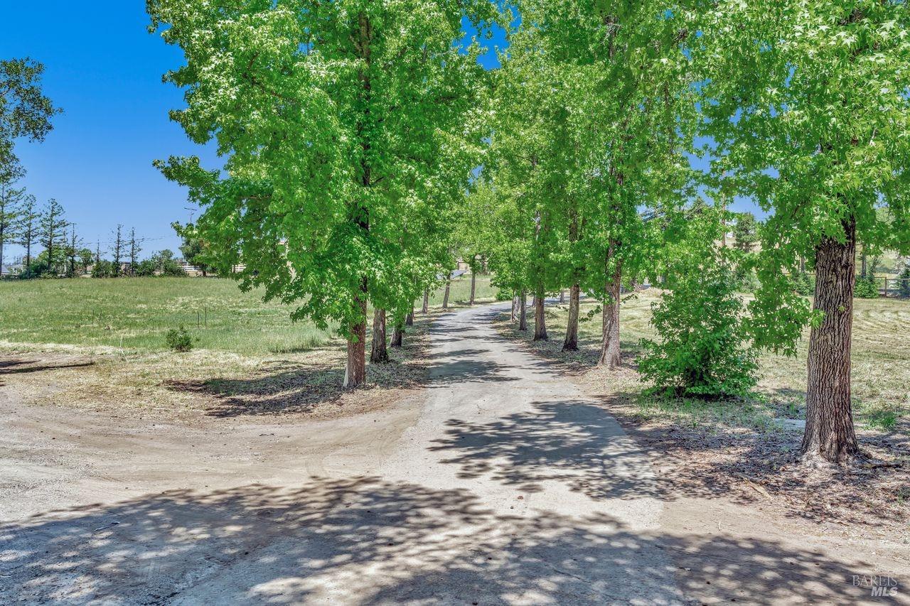 Property photo 44