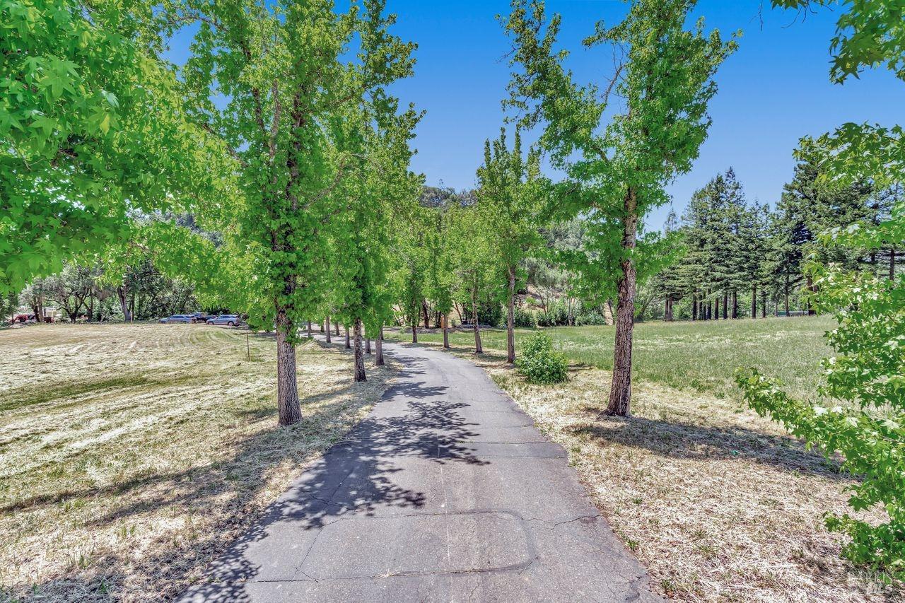 Property photo 49