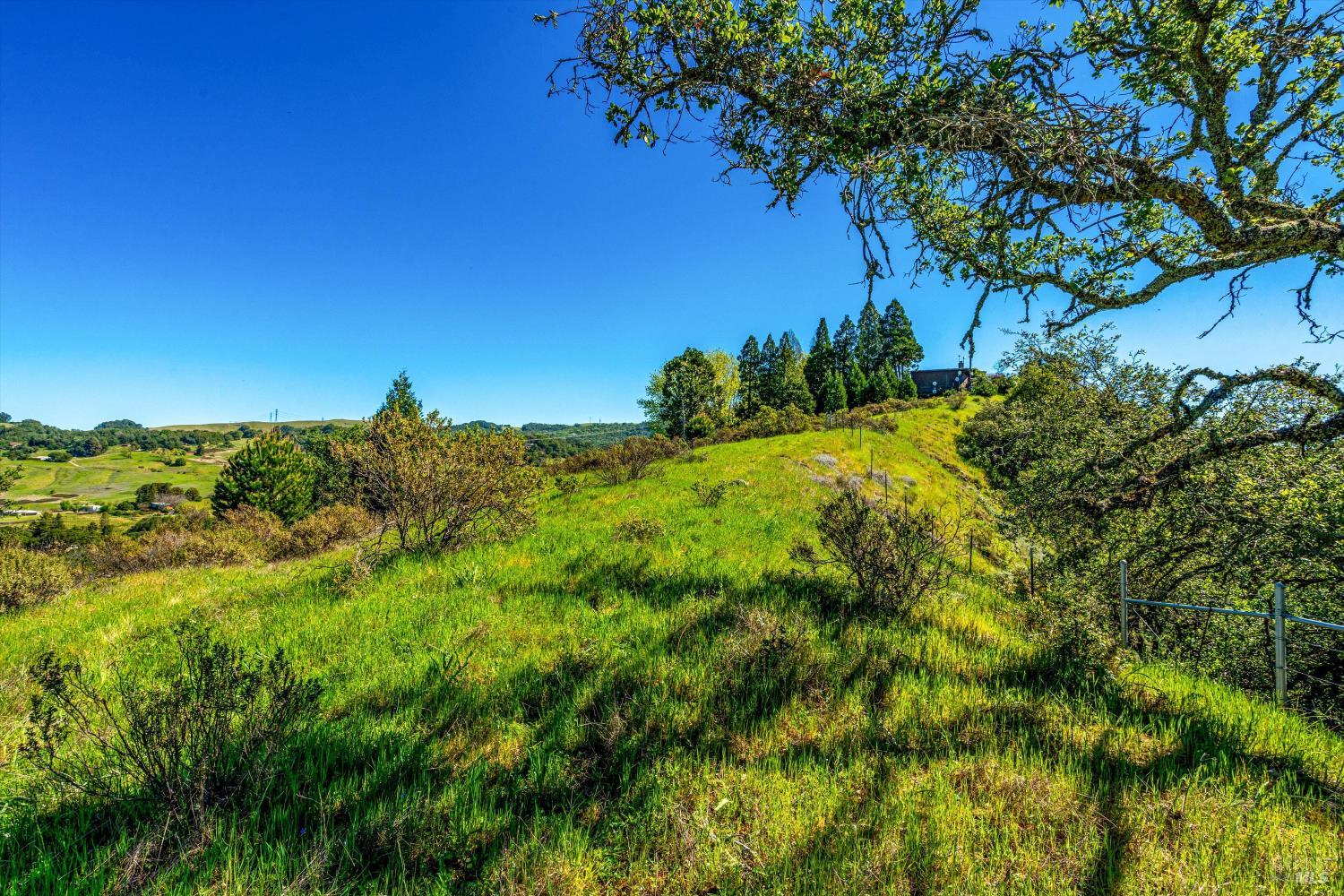 Property photo 43