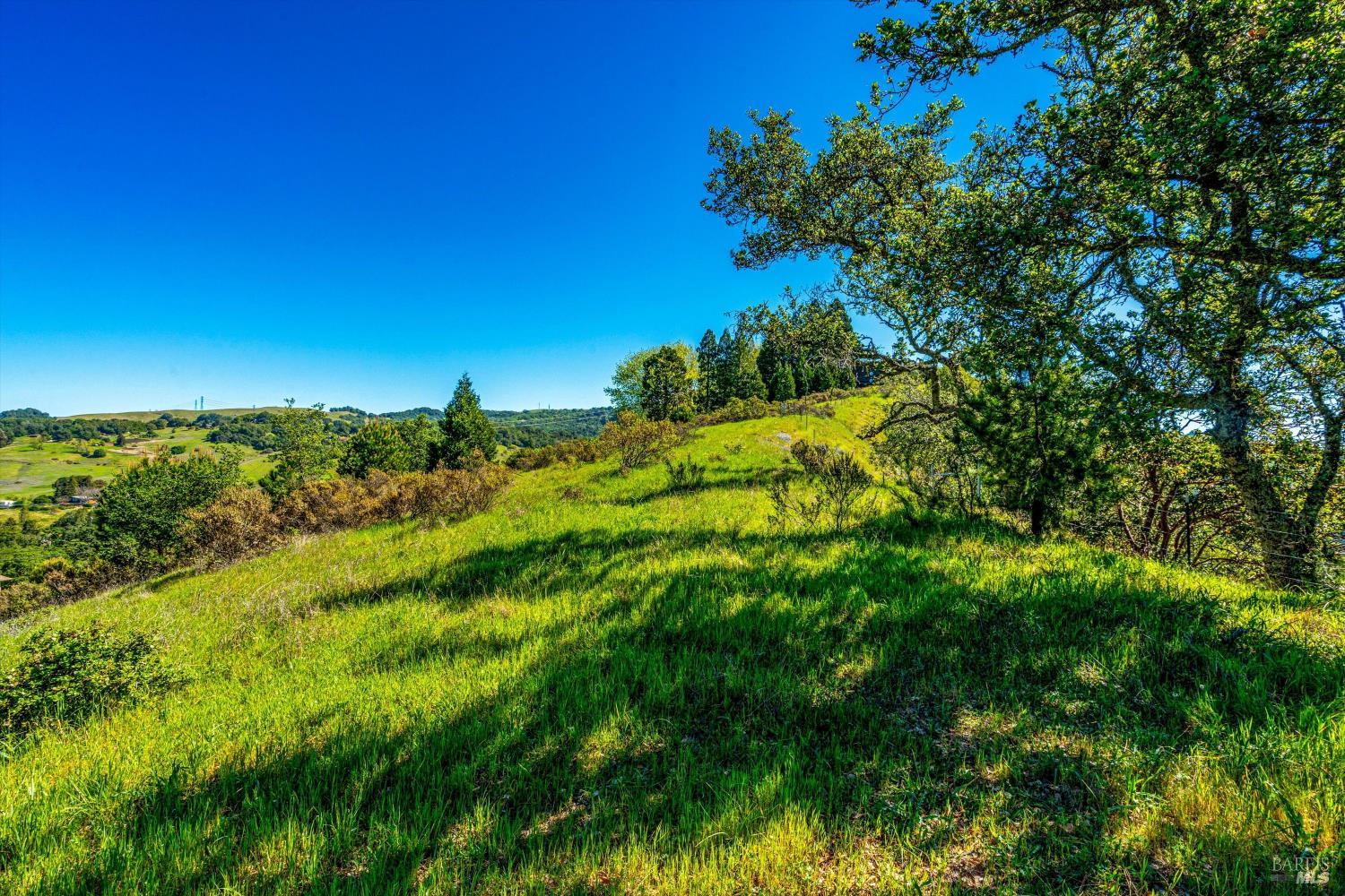 Property photo 44
