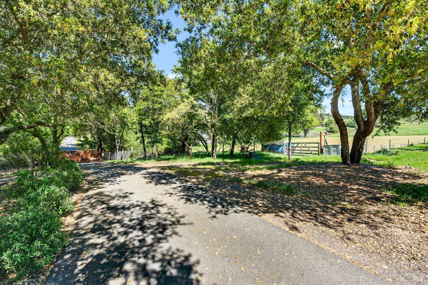 Property photo 27