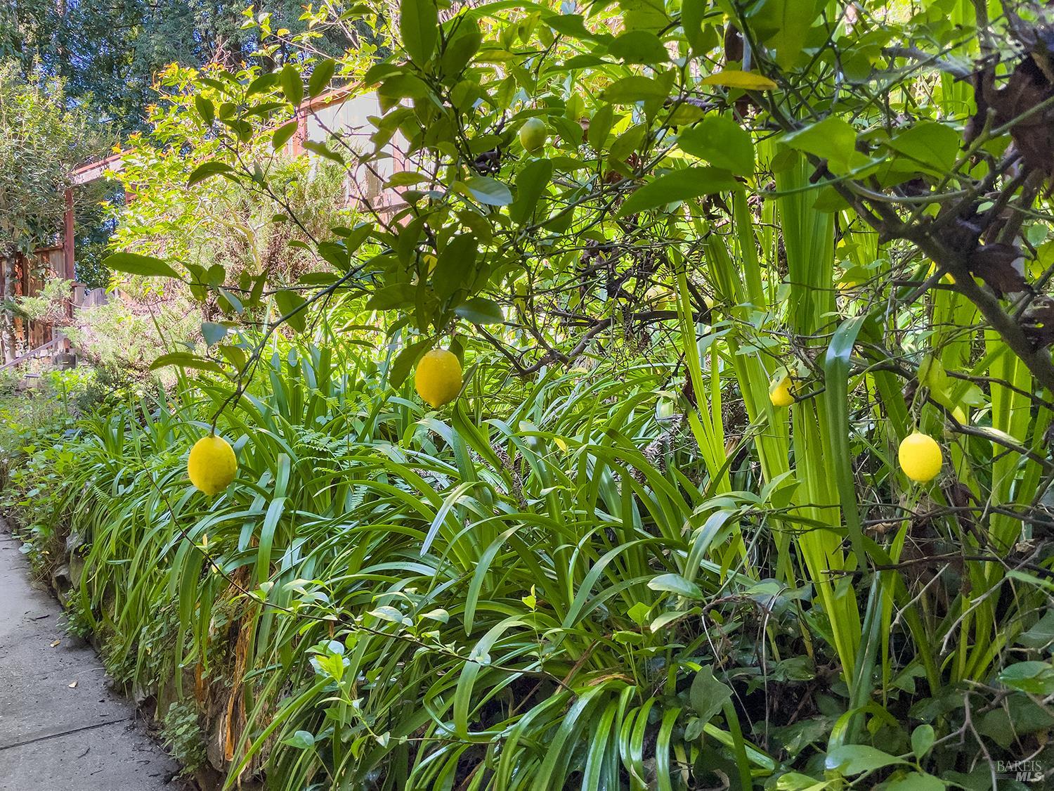 Property photo 51