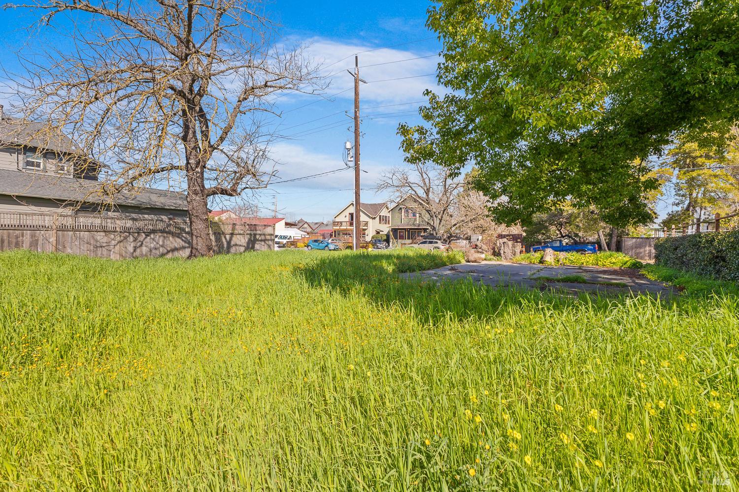 Property photo 23