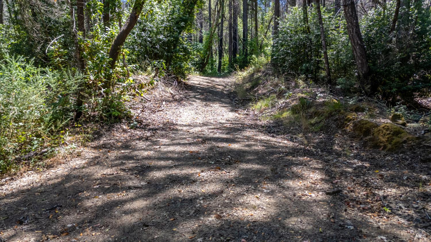 Property photo 44
