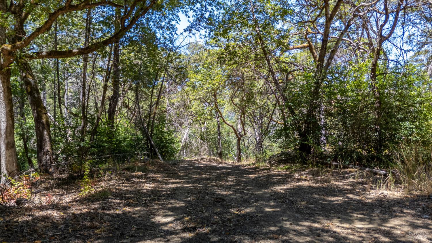 Property photo 45