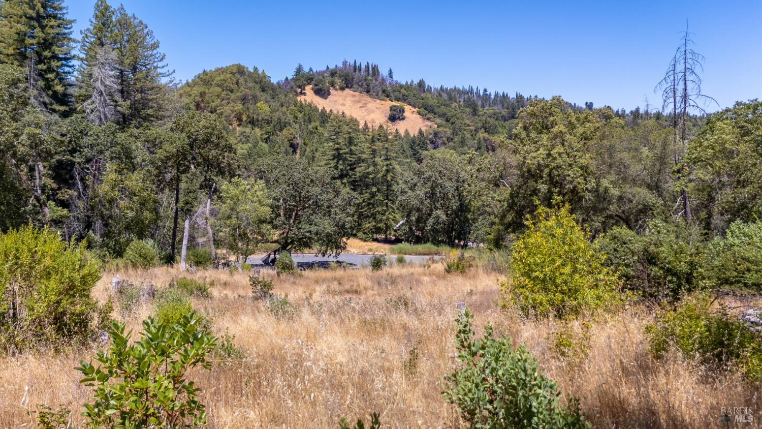 Property photo 47