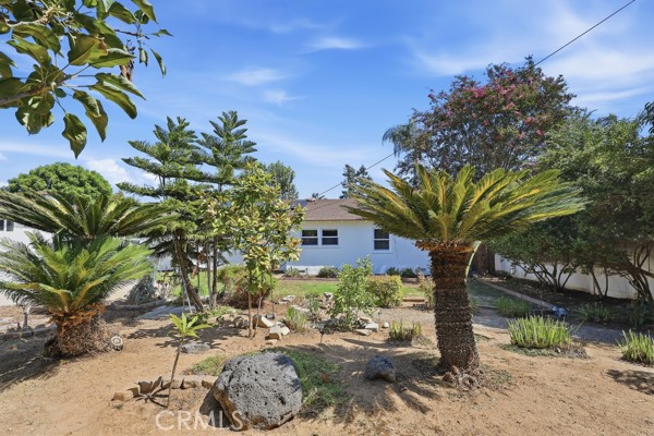 Property photo 43