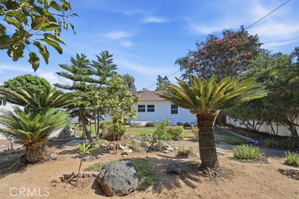 Property photo 43