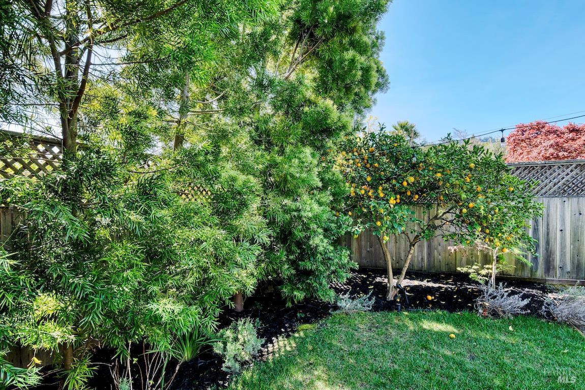 Property photo 40