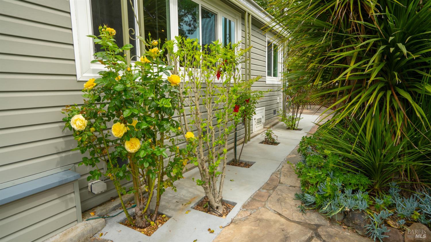 Property photo 43