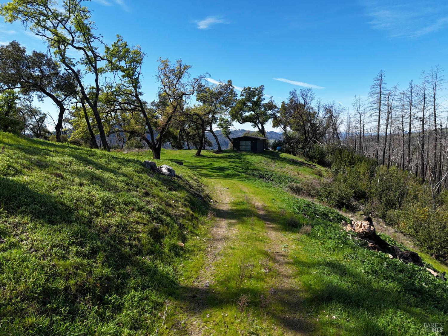 Property photo 16