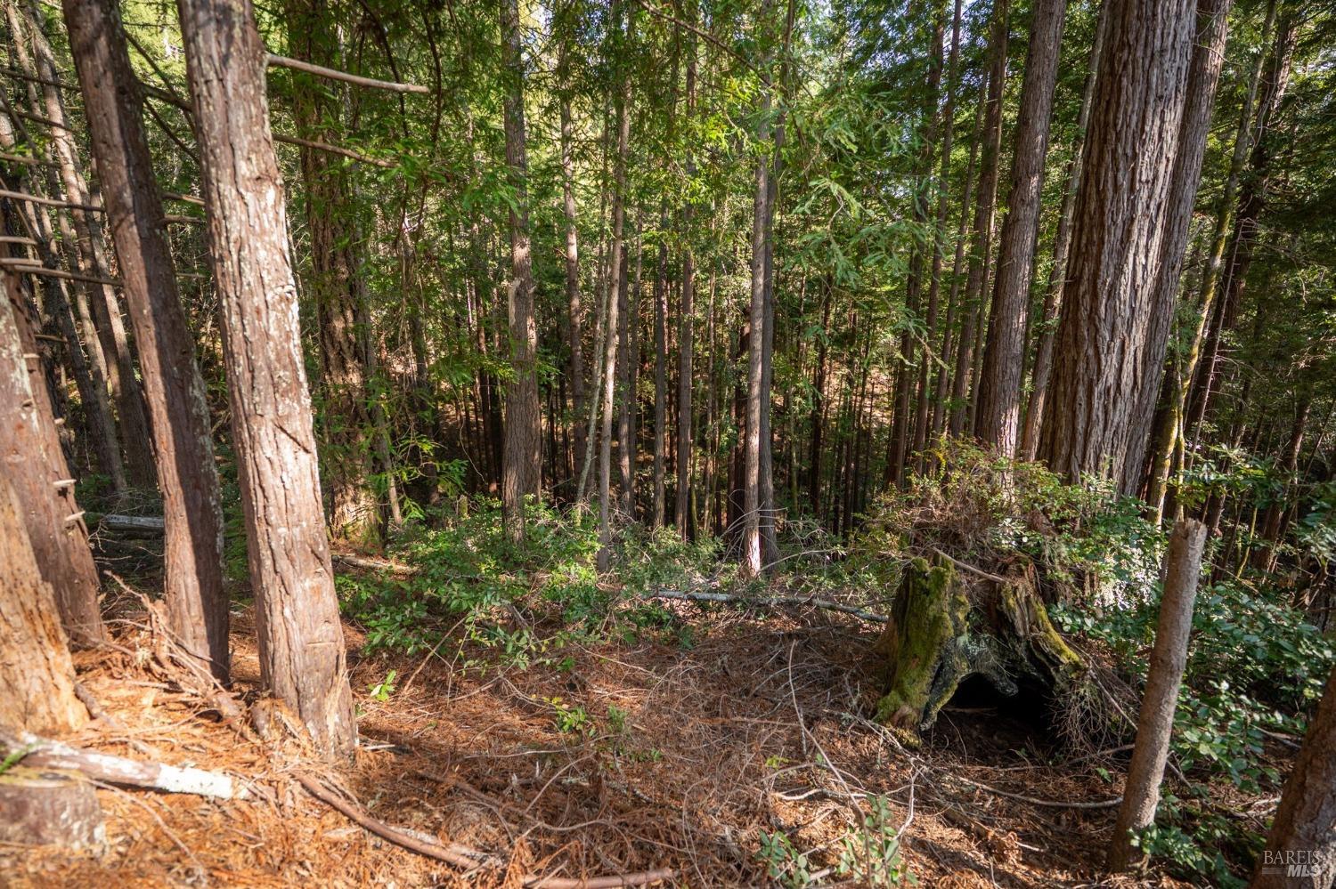 Property photo 21