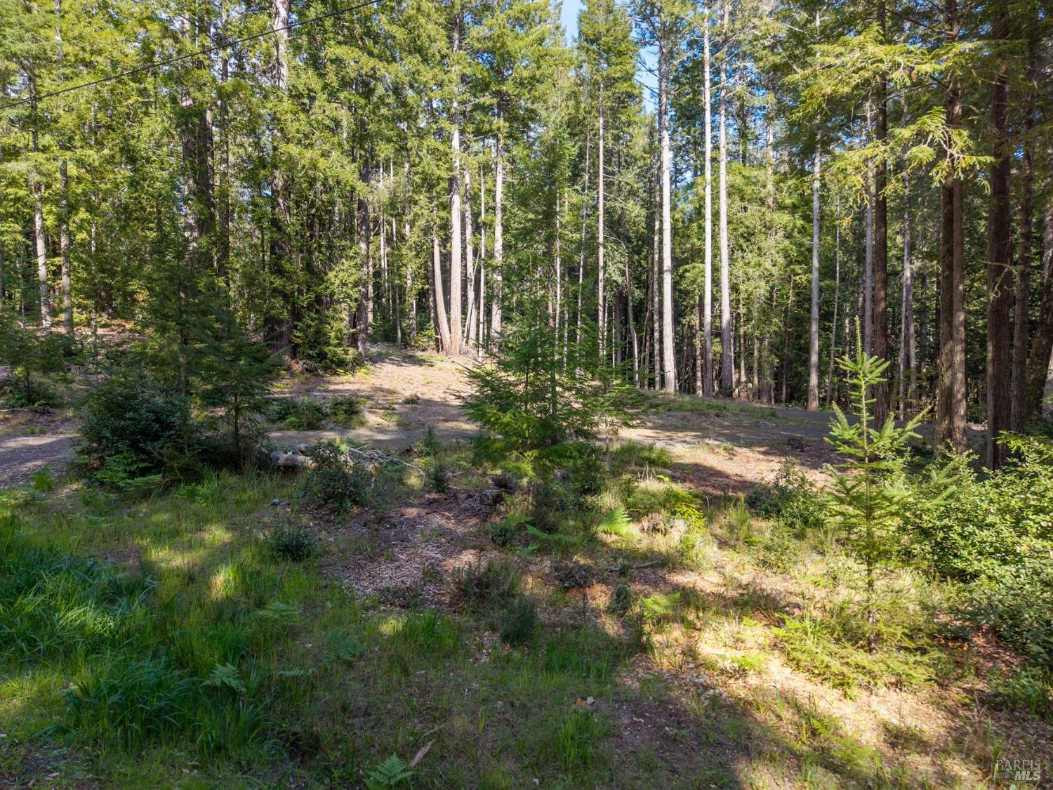 Property photo 24