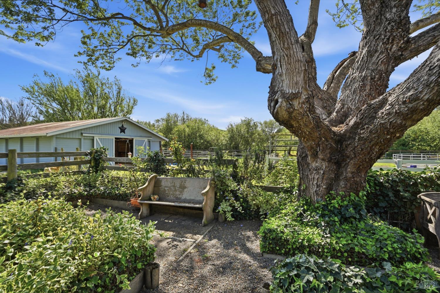 Property photo 44