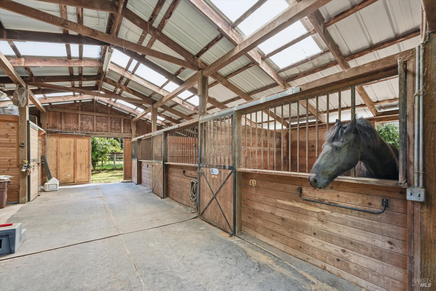 Property photo 46