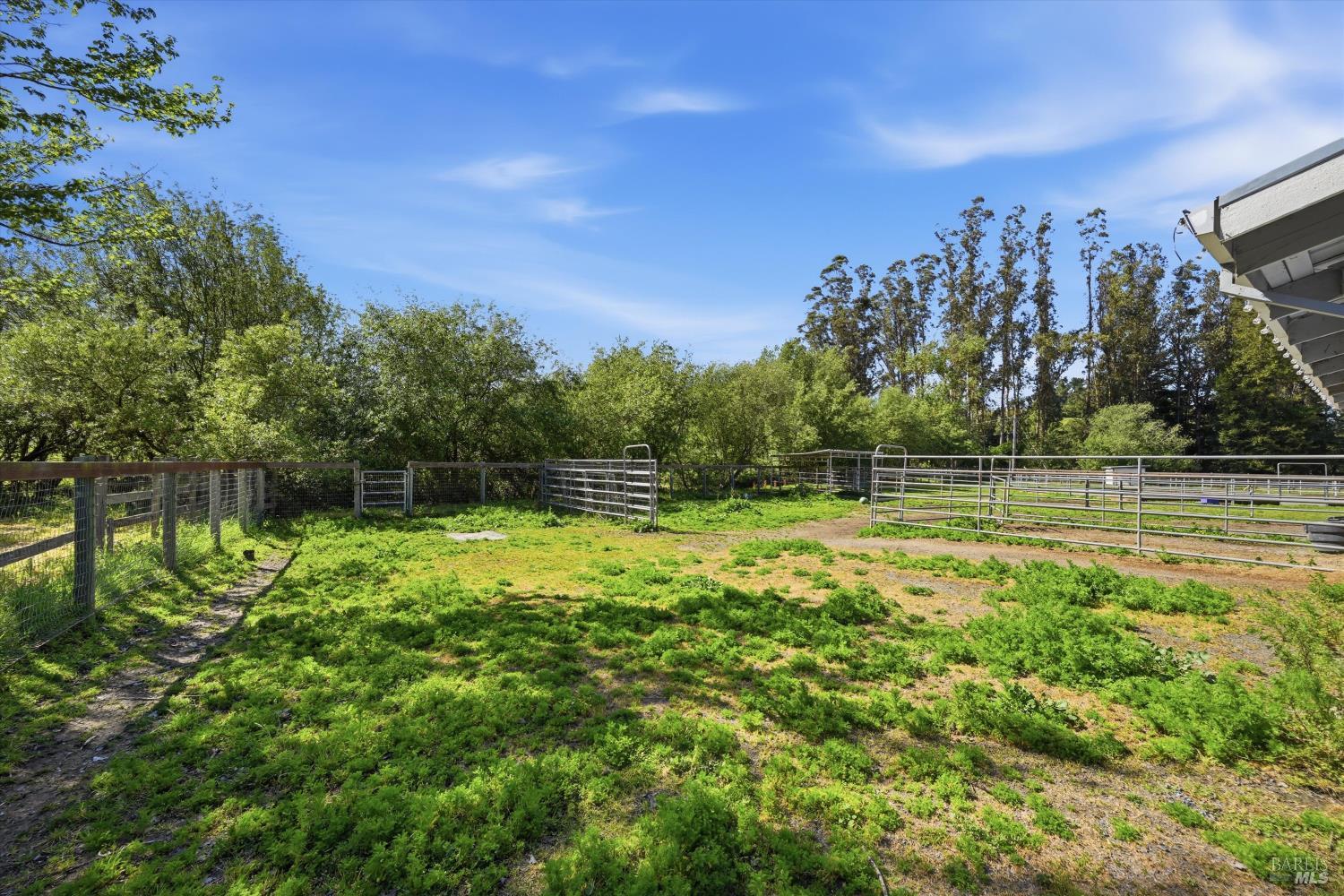 Property photo 50