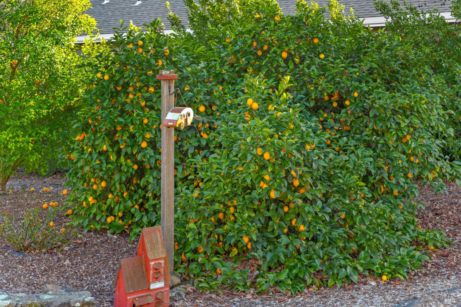 Property photo 45