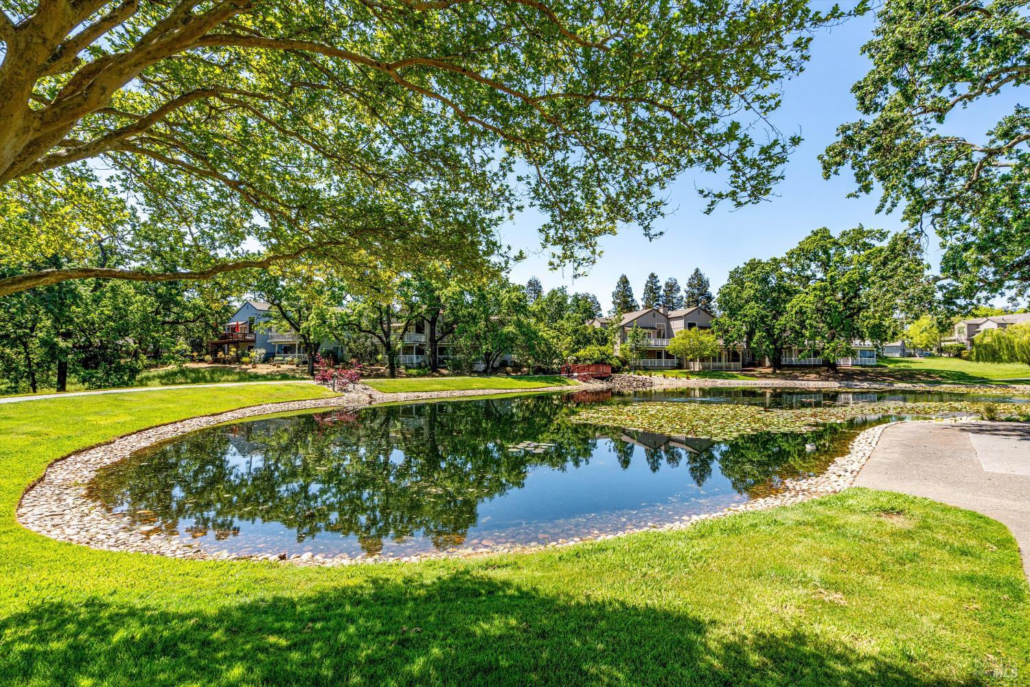 Property photo 42
