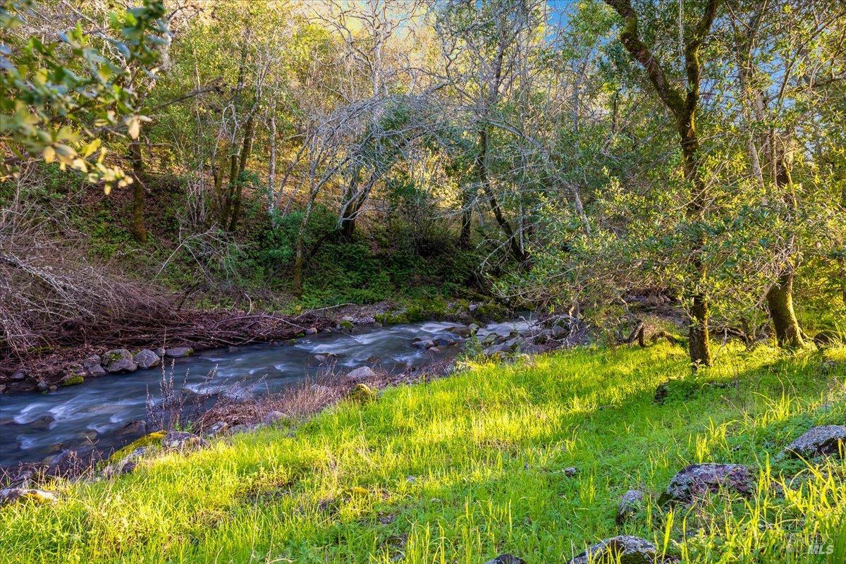 Property photo 39