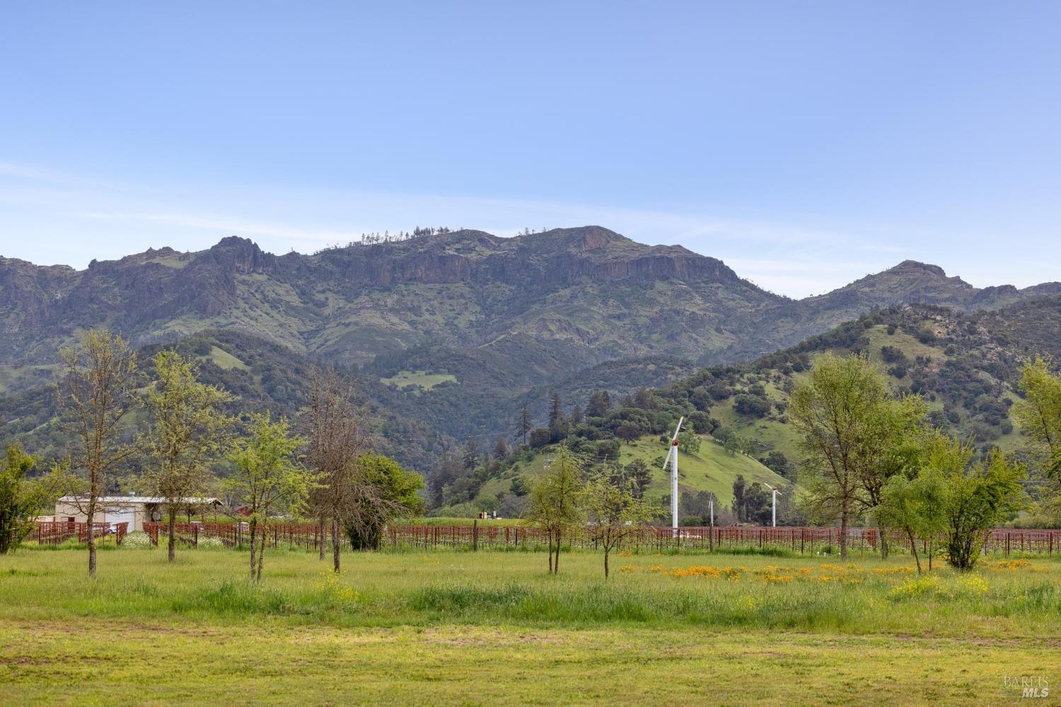 Property photo 37
