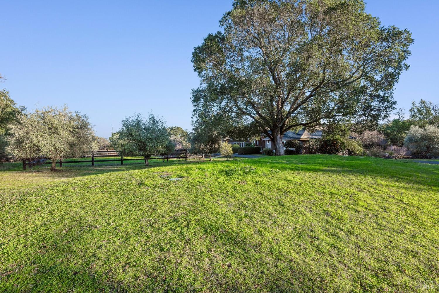 Property photo 35