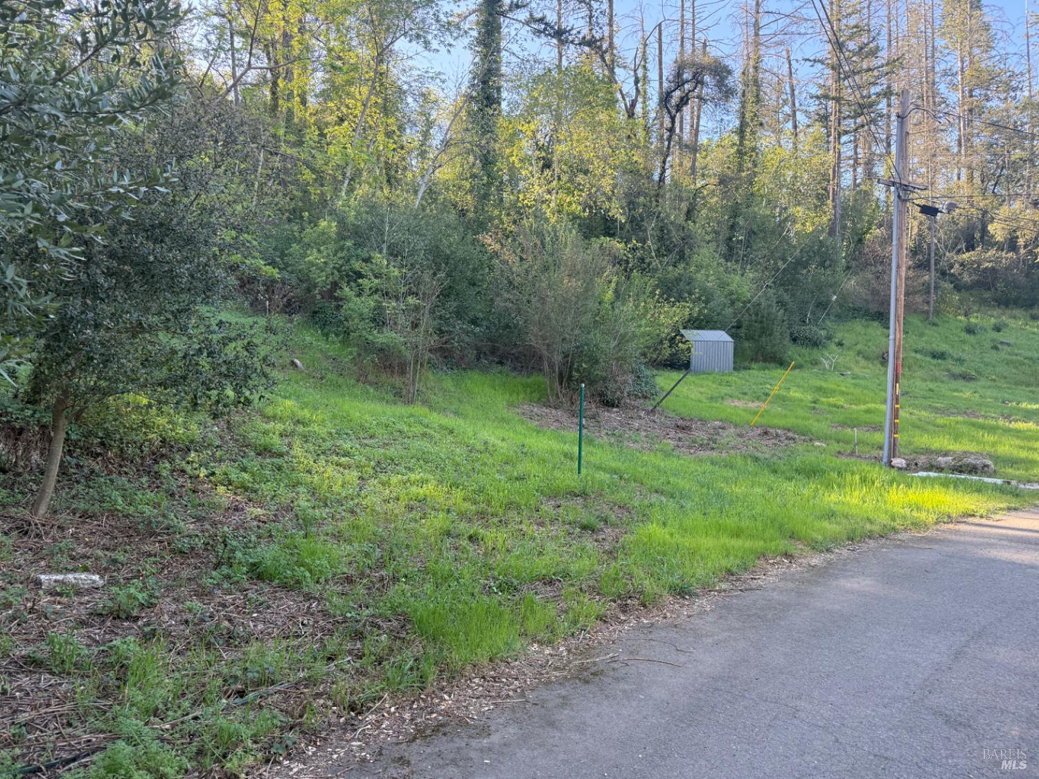 Property photo 12